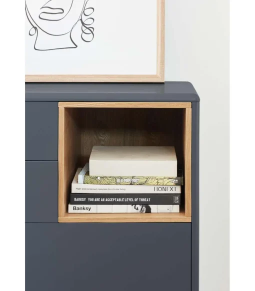 Cómoda para dormitorio modelo Corvo 1 hueco 4 cajones acabado gris antracita, 40cm(ancho) 90cm(alto) 90cm (largo)