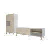 Conjunto salón Cazalilla-5 mueble bajo TV y modulo alto 47-135 cm(alto)155-81 cm(ancho)43 cm(largo)