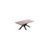 Mesa de comedor fija Xena 180 tapa con forma acabado roble honey/negro, 76 cm(alto)180 cm(ancho)100 cm(largo)