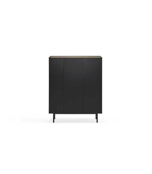 Mueble auxiliar modelo Arista 3 puertas acabado negro, 40cm(ancho) 120cm(alto) 95cm (largo)
