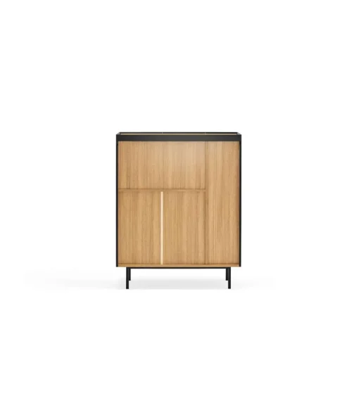 Mueble auxiliar modelo Arista 3 puertas acabado negro, 40cm(ancho) 120cm(alto) 95cm (largo)