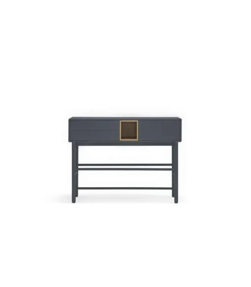 Mueble recibidor modelo Corvo 1 puerta 2 cajones acabado gris antracita, 35cm(ancho) 90cm(alto) 120cm (largo)