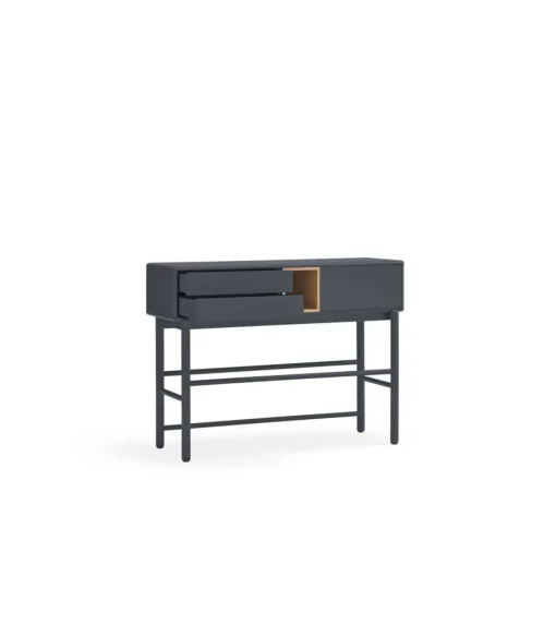Mueble recibidor modelo Corvo 1 puerta 2 cajones acabado gris antracita, 35cm(ancho) 90cm(alto) 120cm (largo)